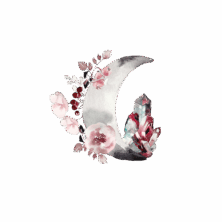 The Untamed Priestess